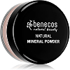 Natural Mineral Powder - Translucent