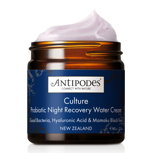 Culture Probiotic Night Recovery Water Cream